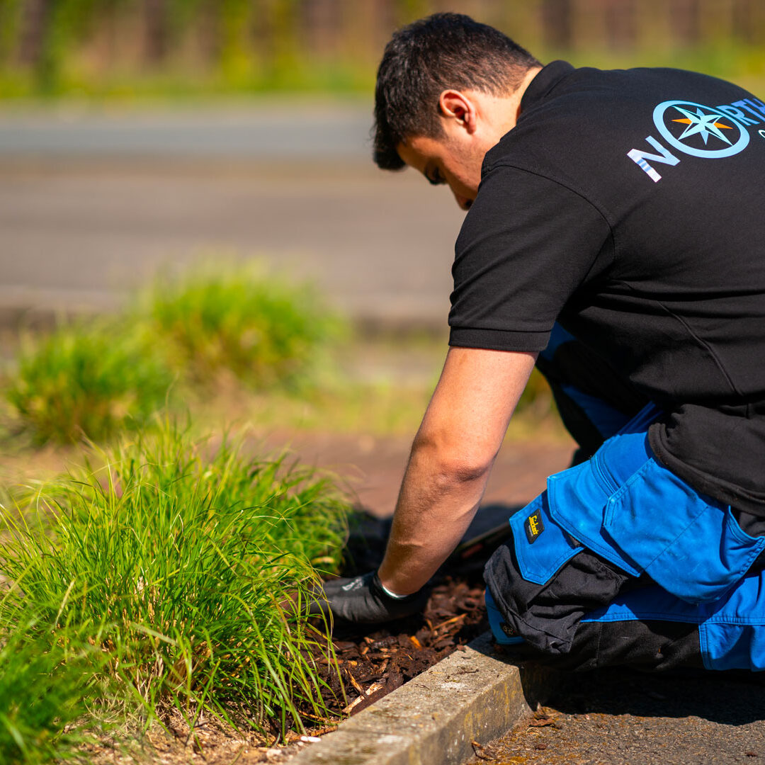 Service de jardinage proposé par North Group